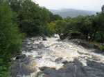 19646 Swollen river.jpg